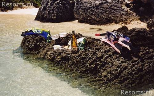 The Reefs 24